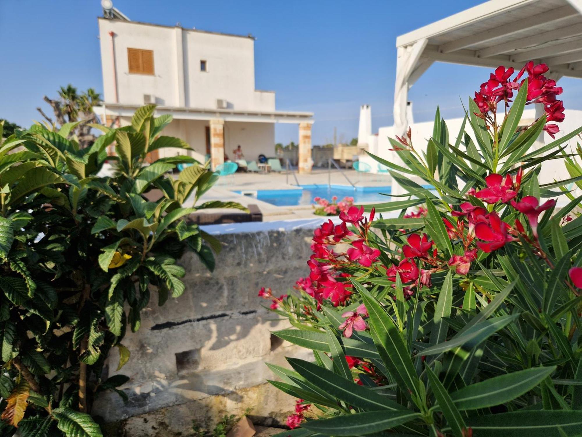 La Dimora Dei Conti Bed & Breakfast Collemeto Luaran gambar